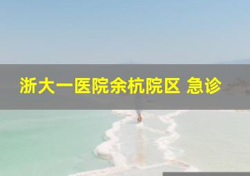 浙大一医院余杭院区 急诊